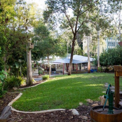 Our Big Yard
