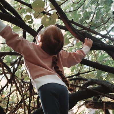 Climbing our famous Cottonwood Tree is always one of the children's favourite experiences at Campus Kindy!