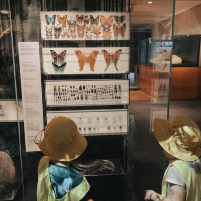 Excursion to QLD Museum