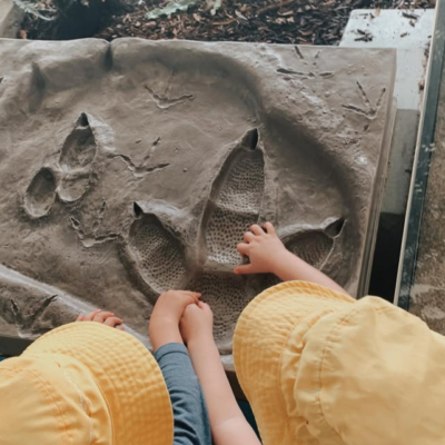 Excursion to QLD Museum to learn about Dinosaurs