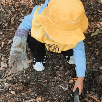 Planting Trees in the UQ St Lucia campus