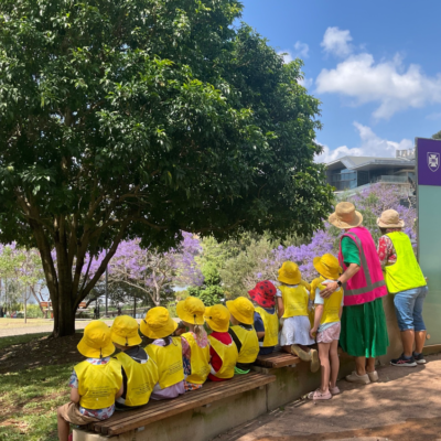 Excursion: Kindy children appreciating Jacaranda flowers within the beautiful campus of the UQ St Lucia