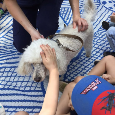 Incursion: Visit by Vets