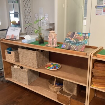 Cottonwood room shelves